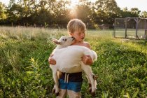 Boy standing in a field carrying a goat — Stock Photo