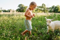 Хлопчик стоїть у полі з козлом — стокове фото
