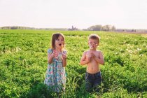 Menino e menina de pé em um campo soprando relógios de dente de leão — Fotografia de Stock