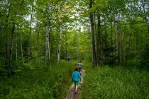 Padre con quattro bambini che camminano attraverso un sentiero nel bosco — Foto stock