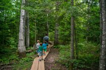 Pai com quatro filhos caminhando por um trilho na floresta — Fotografia de Stock