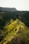 Hombre de pie en la cima de la montaña con los brazos levantados, Columbia River Gorge, Washington, América, EE.UU. - foto de stock