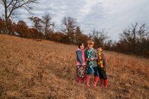 Retrato de três crianças em pé na paisagem rural — Fotografia de Stock