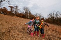Porträt von drei Kindern, die in einer ländlichen Landschaft stehen — Stockfoto