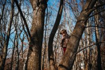 Adorável menino escalada árvore na natureza — Fotografia de Stock