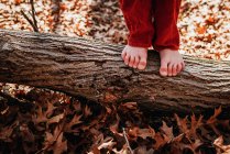 Close-up of boy standing on a log barefoot — Stock Photo