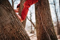 Niño escalando un árbol descalzo - foto de stock
