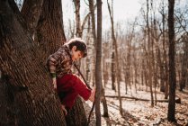 Ragazzo che scala un albero — Foto stock