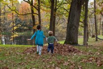 Niña y niño tomados de la mano corriendo por el bosque - foto de stock