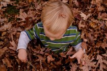 Vista superior del niño jugando en hojas de otoño - foto de stock