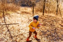 Chico jugando con un palo en el bosque - foto de stock