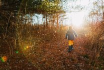 Menino caminhando ao longo da trilha na floresta outonal — Fotografia de Stock