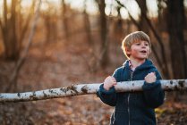 Menino carregando pedaço de madeira de bétula na floresta — Fotografia de Stock