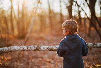 Мальчик, несущий кусок березы в лесу — стоковое фото