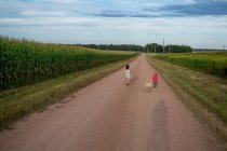 Мальчик и девочка идут по дороге с золотой собакой-ретривером — стоковое фото