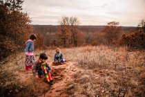 Dos niños y una niña jugando en un paisaje rural - foto de stock