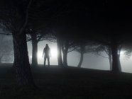 Silhouette of a man standing in park at night — Foto stock