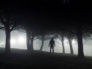Silhouette of a man standing in park at night — Fotografia de Stock