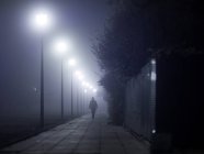 Silhouette of man with a  walking stick walking along foggy street — Foto stock