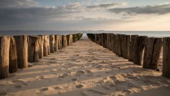 Groynes di legno sulla spiaggia, Vlissingen, Zelanda, Olanda — Foto stock