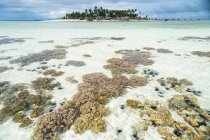 Коралловый риф и тропический остров, Семпорна, Сабах, Малайзия — стоковое фото