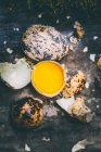 Quail eggs and egg yolk in a shell, elevated view — Stock Photo
