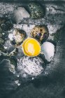 Вид зверху на перепелині яйця, мушлю і жовток — стокове фото