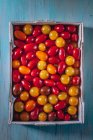 Вид зверху коробки з вишневими помідорами над синім столом — стокове фото