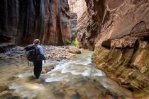 Escursionista a piedi attraverso il fiume nel Narrows, Zion National Park, Utah, America, Stati Uniti — Foto stock