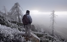 Homem olhando para a vista, Cleveland National Forest, Califórnia, América, EUA — Fotografia de Stock