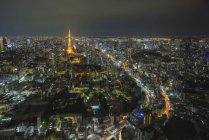 Vista panorámica del horizonte de la ciudad por la noche, Tokio, Japón - foto de stock