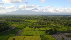 Vue panoramique sur le mont Rinjani et le paysage rural, Lombok, Indonésie — Photo de stock