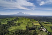 Vue panoramique sur les champs de riz, Bali, Indonésie — Photo de stock