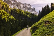 Hombre caminando por carretera de montaña, Seealpsee, Appenzell Innerrhoden, Suiza - foto de stock