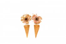 Концептуальні конуси морозива з квітами — стокове фото