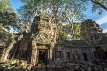 Ta Prohm temple, Angkor Wat, Siem Reap, Camboja — Fotografia de Stock