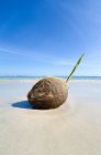 Primo piano vista del cocco sulla spiaggia, Barbados — Foto stock