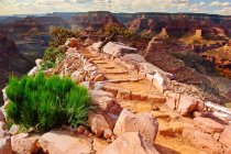 Сценический вид на The Steps to Cedar Ridge, South Rim, Grand Canyon, Arizona, Америка, США — стоковое фото