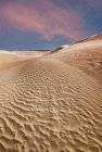 Scenic view of Lancelin Sand dunes, Western Australia, Australia — Stock Photo