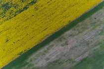 Luftaufnahme von Feldern, Skopje, Mazedonien — Stockfoto