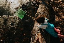 Девушка у пруда собирает водяных жуков — стоковое фото