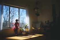Visão traseira da menina olhando através de uma janela — Fotografia de Stock