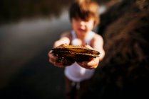 Menino na praia segurando uma amêijoa — Fotografia de Stock