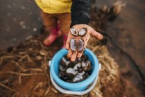 Мальчик на пляже собирает моллюсков — стоковое фото