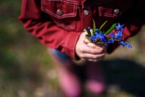 Мальчик держит цветы близко — стоковое фото