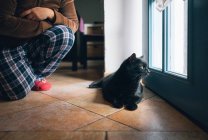 Женщина, преклоняющая колени перед своим котом, который смотрит в дверь — стоковое фото