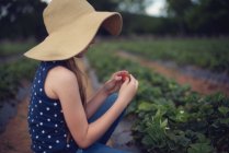Девушка, сидящая в поле и собирающая клубнику — стоковое фото