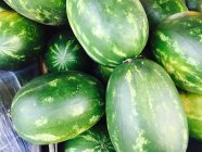 Close-up view of ripe green watermelons — Stock Photo
