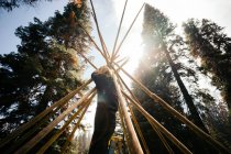 Mann baut Tipi-Struktur, Mammutbaum Nationalwald, Kalifornien, Amerika, Vereinigte Staaten — Stockfoto