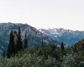Vista panorámica de North American Fork Canyon, Utah, America, USA - foto de stock